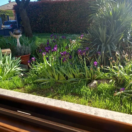 La Casa Di Sotto דירה *